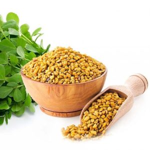 تخم شمبلیله